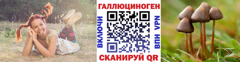 Галлюциногенные грибы Magic Shrooms  Туринск 